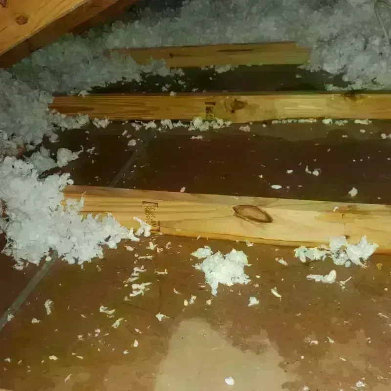 Attic Water Damage in Agawam, MA